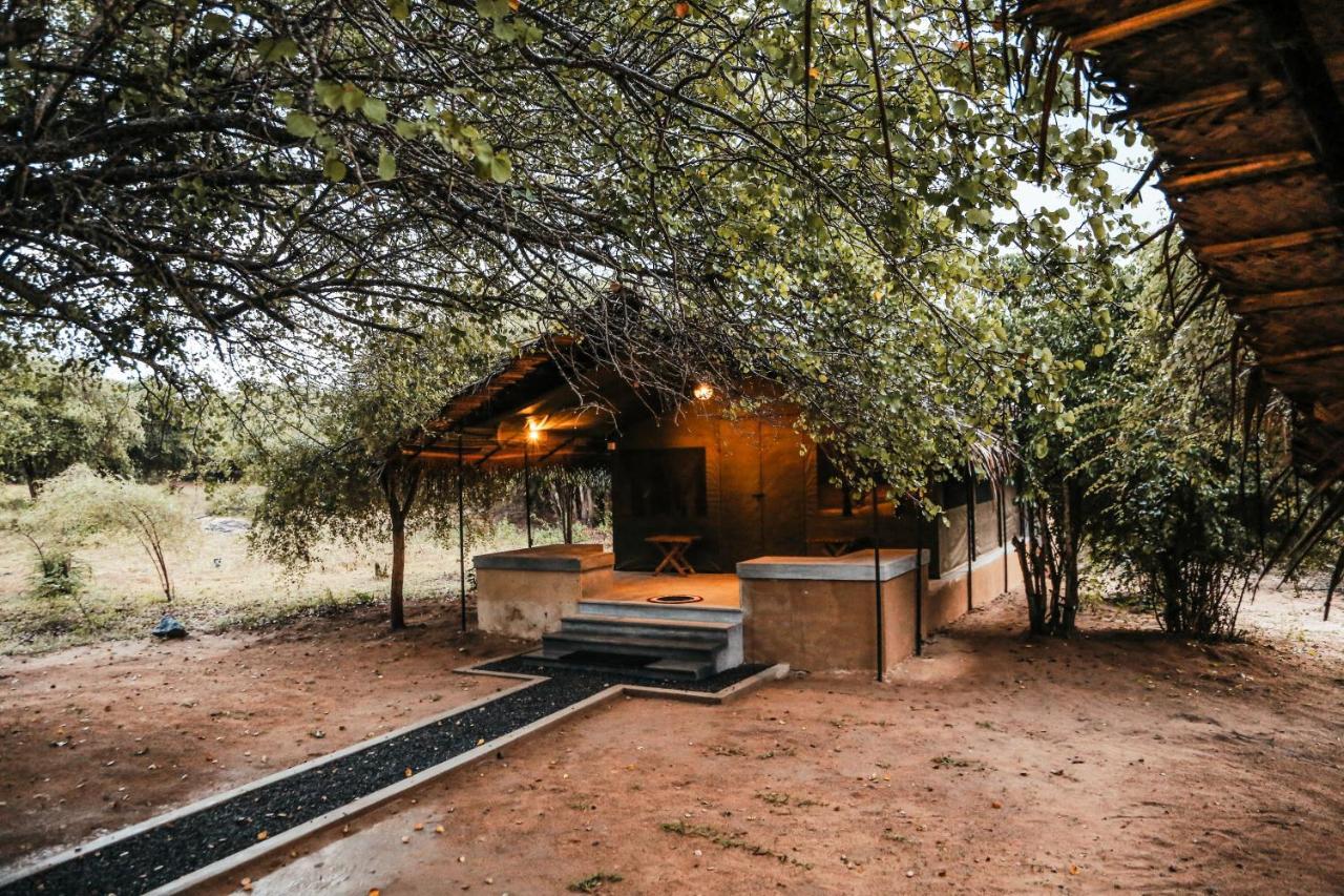 Yala Wild Hut - Yala Hotel Tissamaharama Eksteriør billede