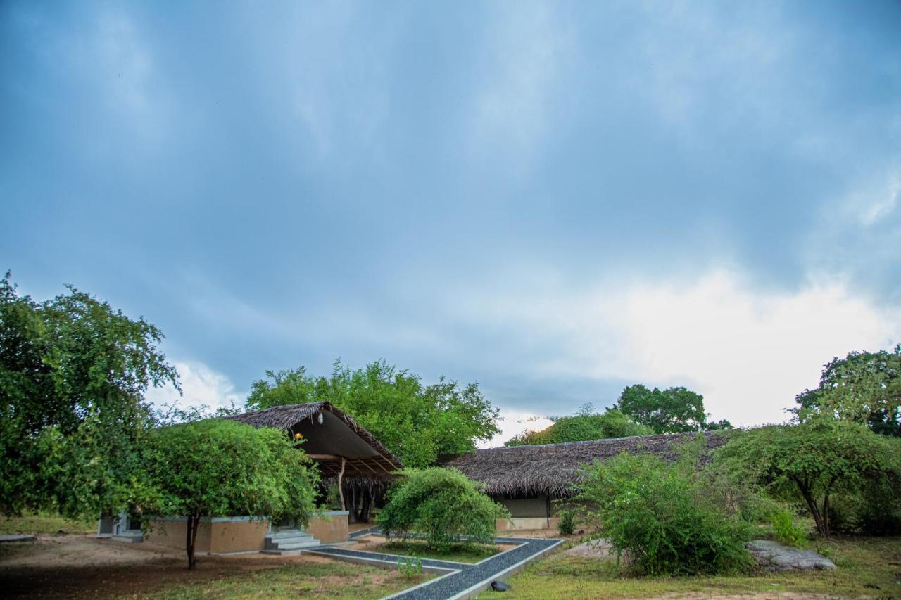Yala Wild Hut - Yala Hotel Tissamaharama Eksteriør billede