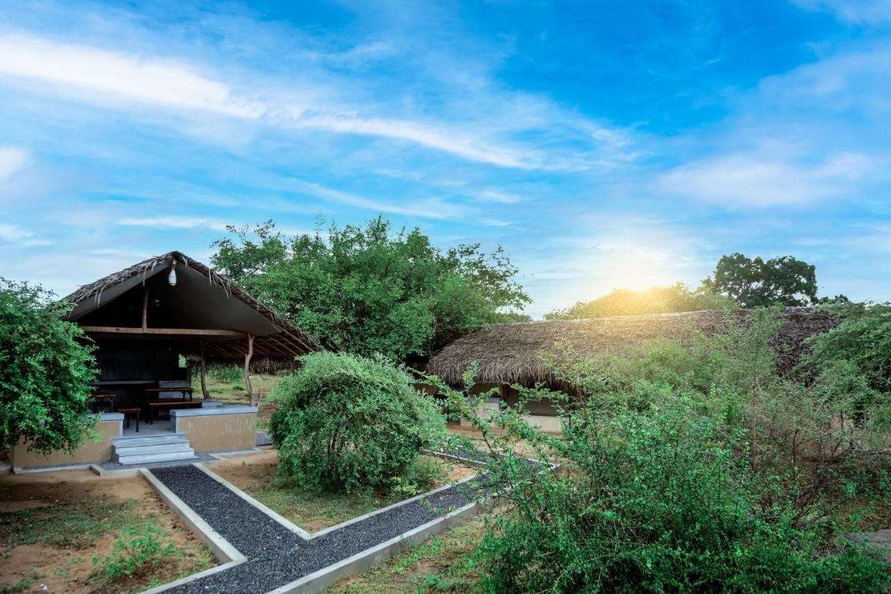 Yala Wild Hut - Yala Hotel Tissamaharama Eksteriør billede