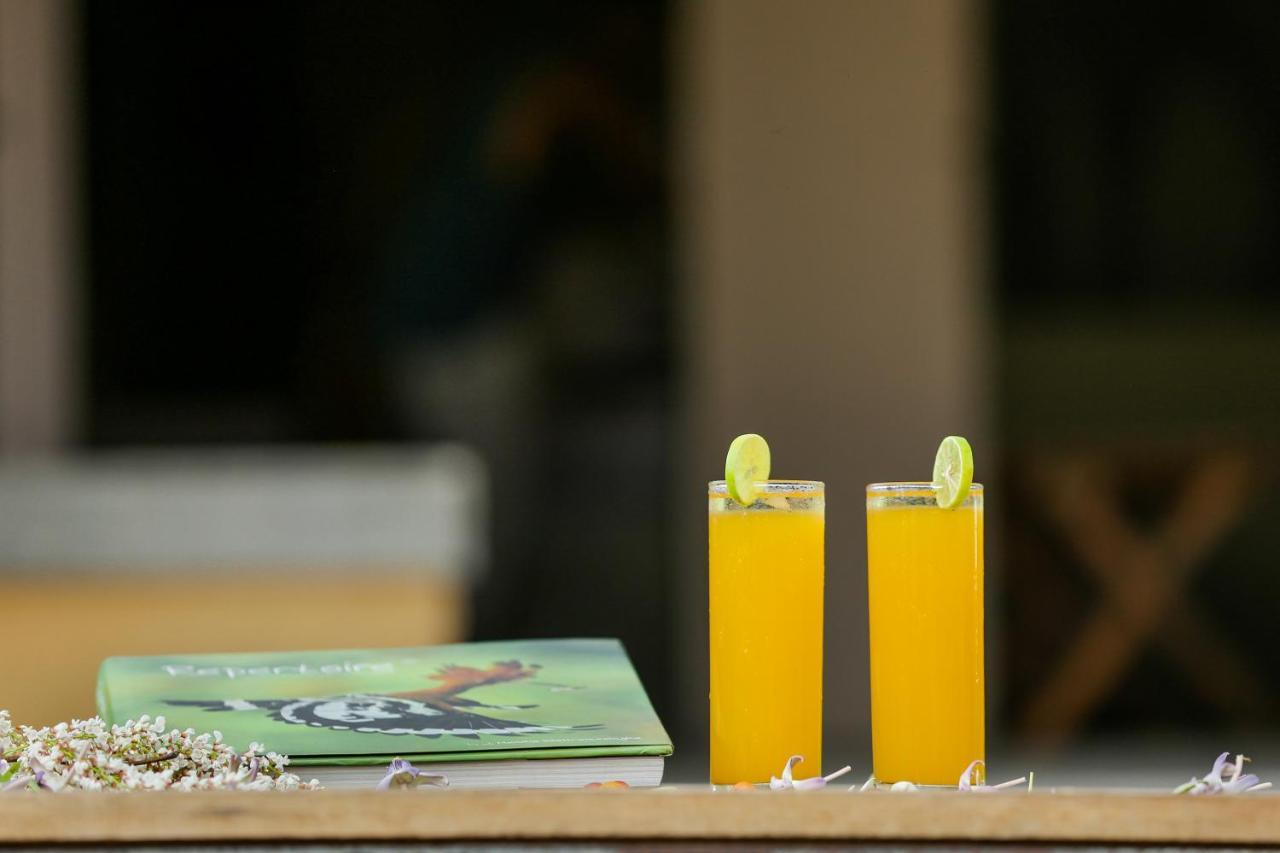 Yala Wild Hut - Yala Hotel Tissamaharama Eksteriør billede