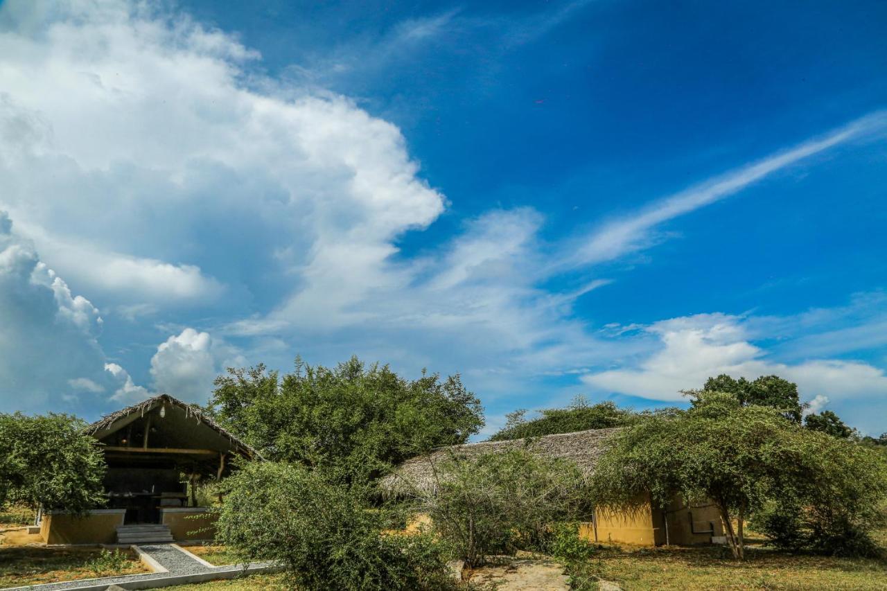 Yala Wild Hut - Yala Hotel Tissamaharama Eksteriør billede