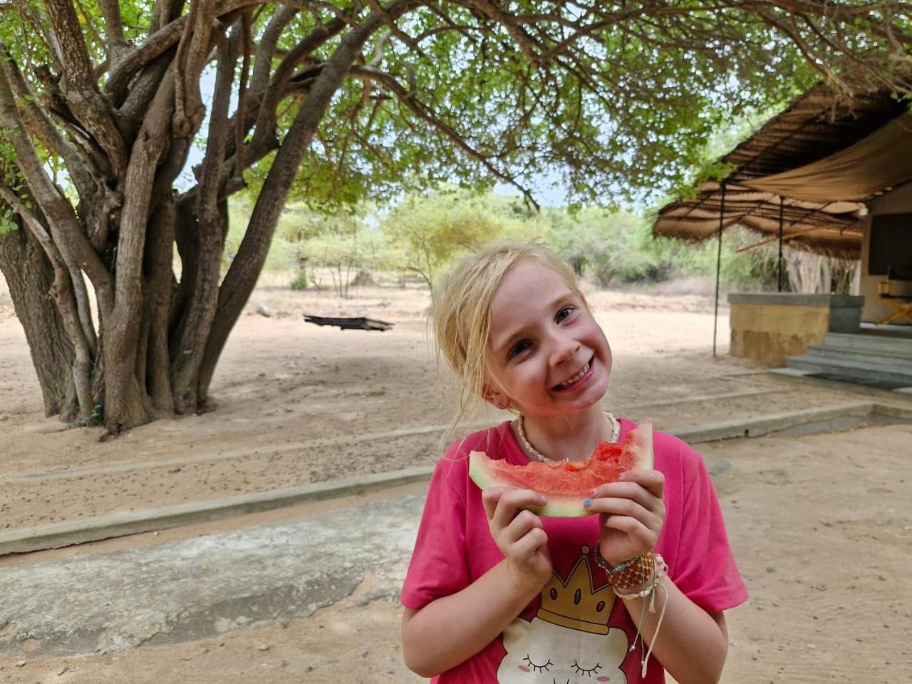 Yala Wild Hut - Yala Hotel Tissamaharama Eksteriør billede