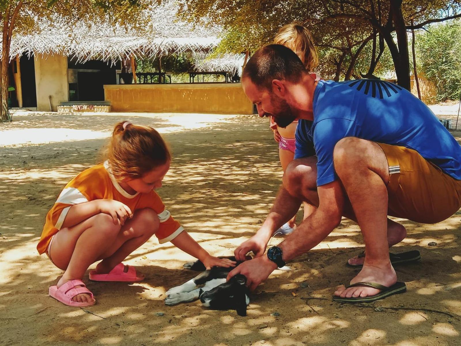 Yala Wild Hut - Yala Hotel Tissamaharama Eksteriør billede